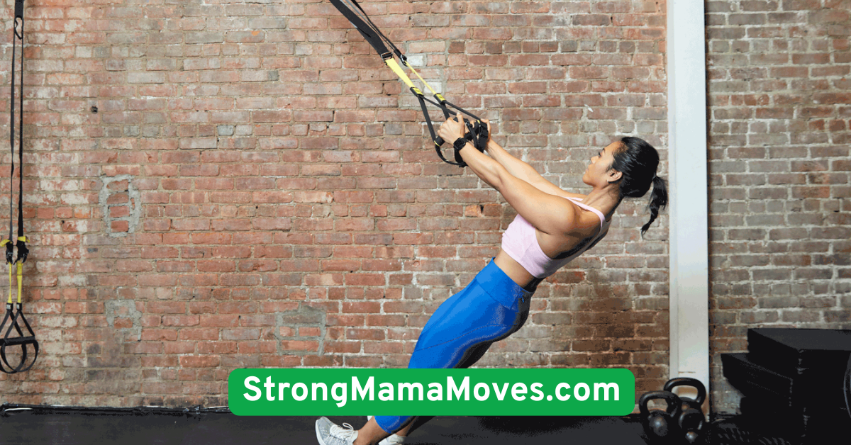 TRX Rows (or Alternative Bodyweight Rows)