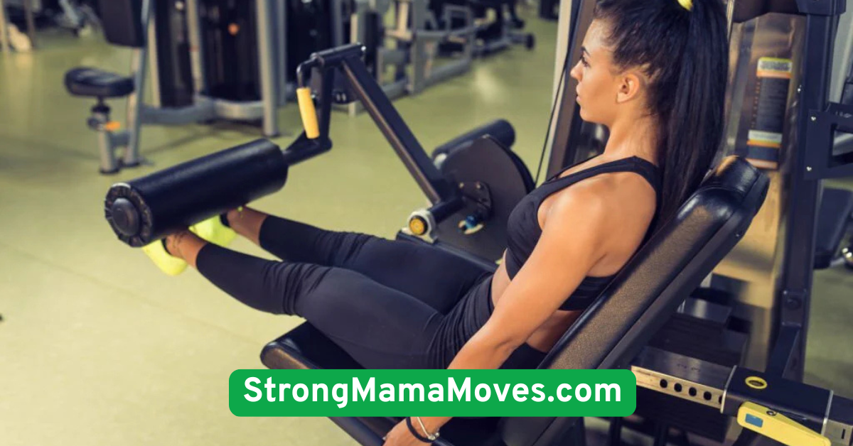 Seated Leg Extensions