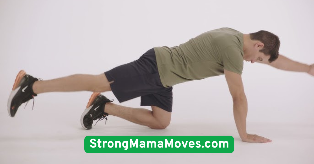 Bird-Dog Exercise
